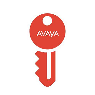 Код активации Avaya IP Office 500 AV TTS 1 ADI LIC